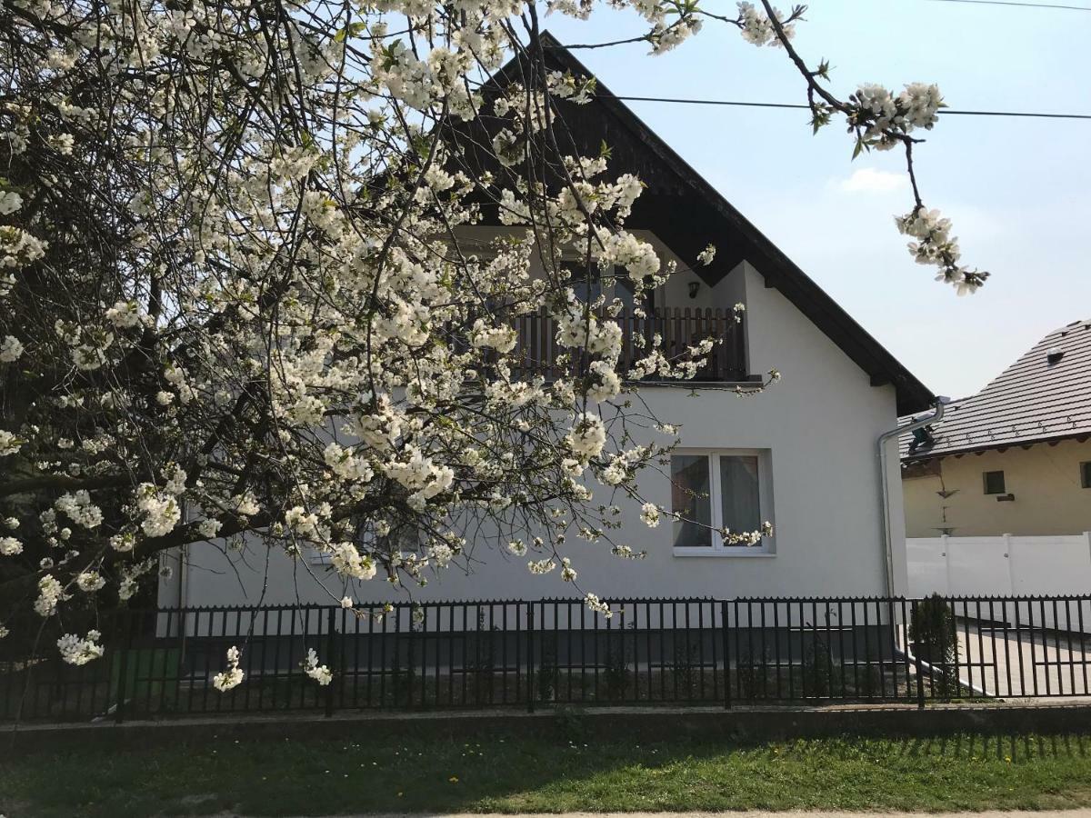 Hotel Szep Napot Vendeghaz Tordas Exteriér fotografie